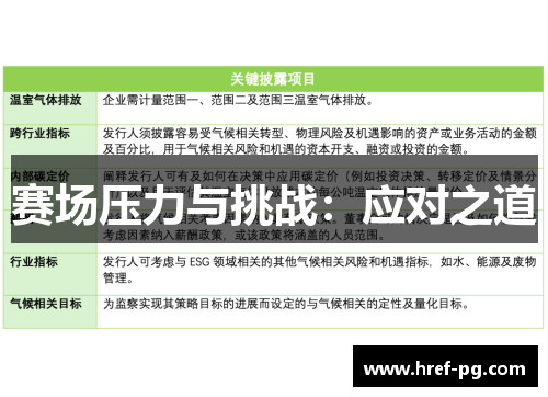 赛场压力与挑战:应对之道 赛场压力与挑战:应对之道