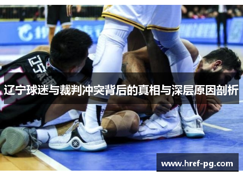 辽宁球迷与裁判冲突背后的真相与深层原因剖析