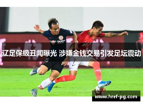 辽足保级丑闻曝光 涉嫌金钱交易引发足坛震动