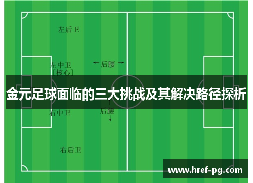 金元足球面临的三大挑战及其解决路径探析 金元足球面临的三大挑战及其解决路径探析