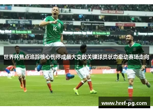 世界杯焦点追踪核心伤停成最大变数关键球员状态牵动赛场走向 世界杯焦点追踪核心伤停成最大变数关键球员状态牵动赛场走向