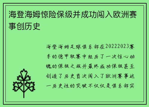 海登海姆惊险保级并成功闯入欧洲赛事创历史